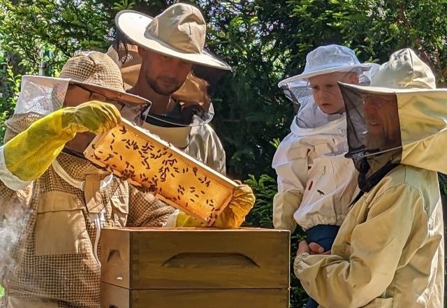 Pirnaer Bienengarten Führung im Imkergarten