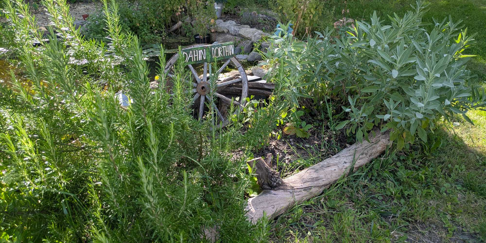 Käuterbeet am Teich II Käuterbeet am Teich II