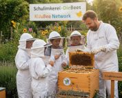 Das KiJuBee-Netzwerk wächst!