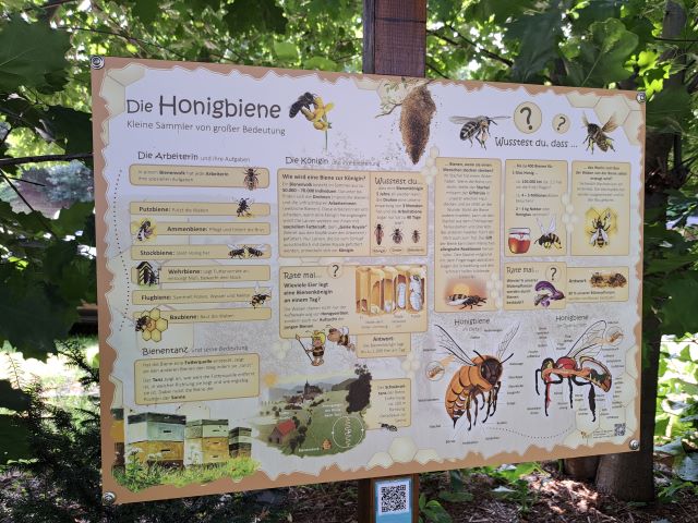 Bienenlehrpfad "Zur Post" Informationstafel dieHonigbiene