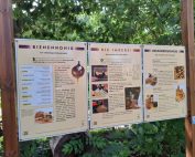 Bienenlehrpfad "Zur Post" Informationstafel die Imkerei