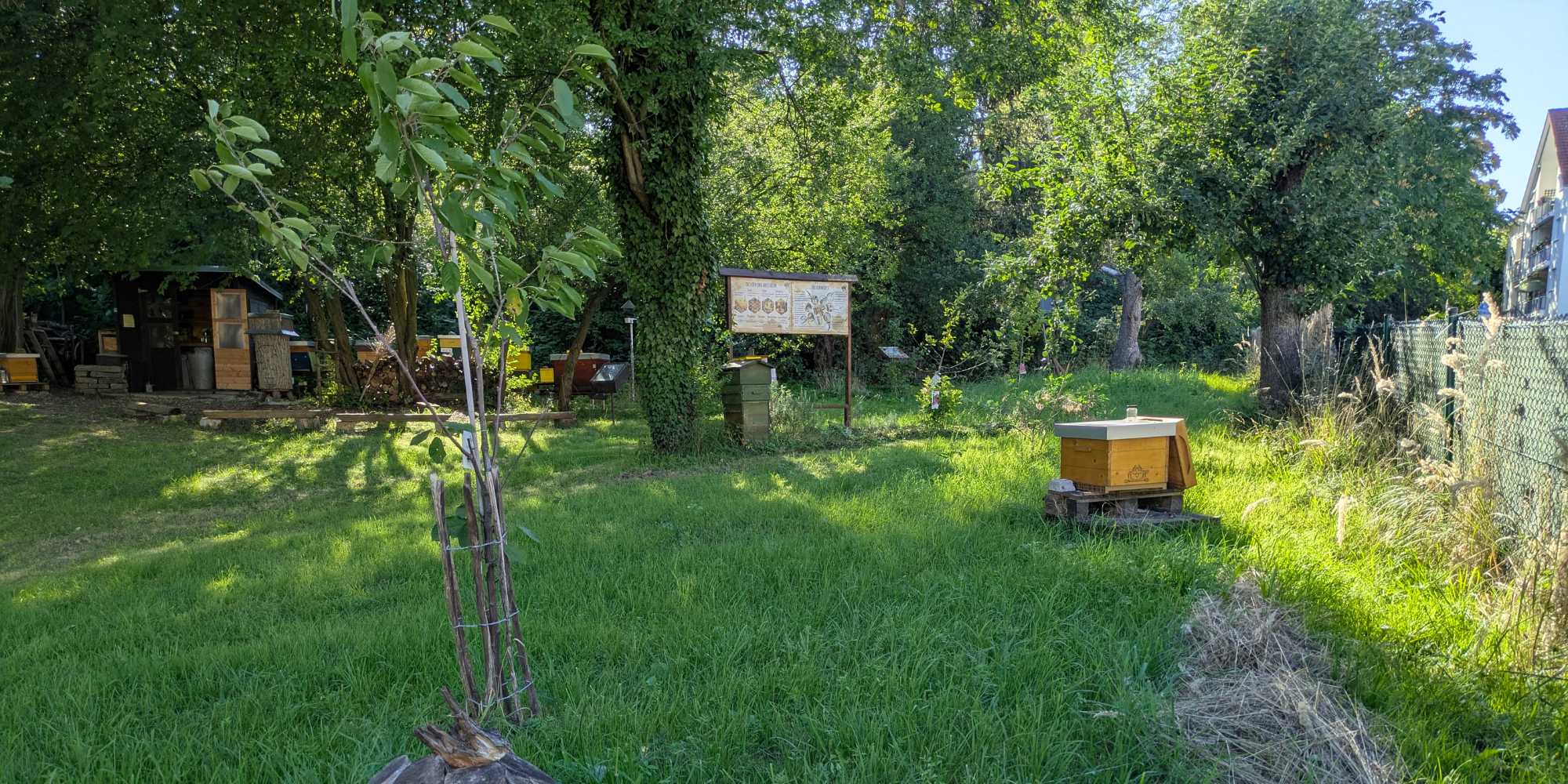 Streuobstwiese Streuobstwiese