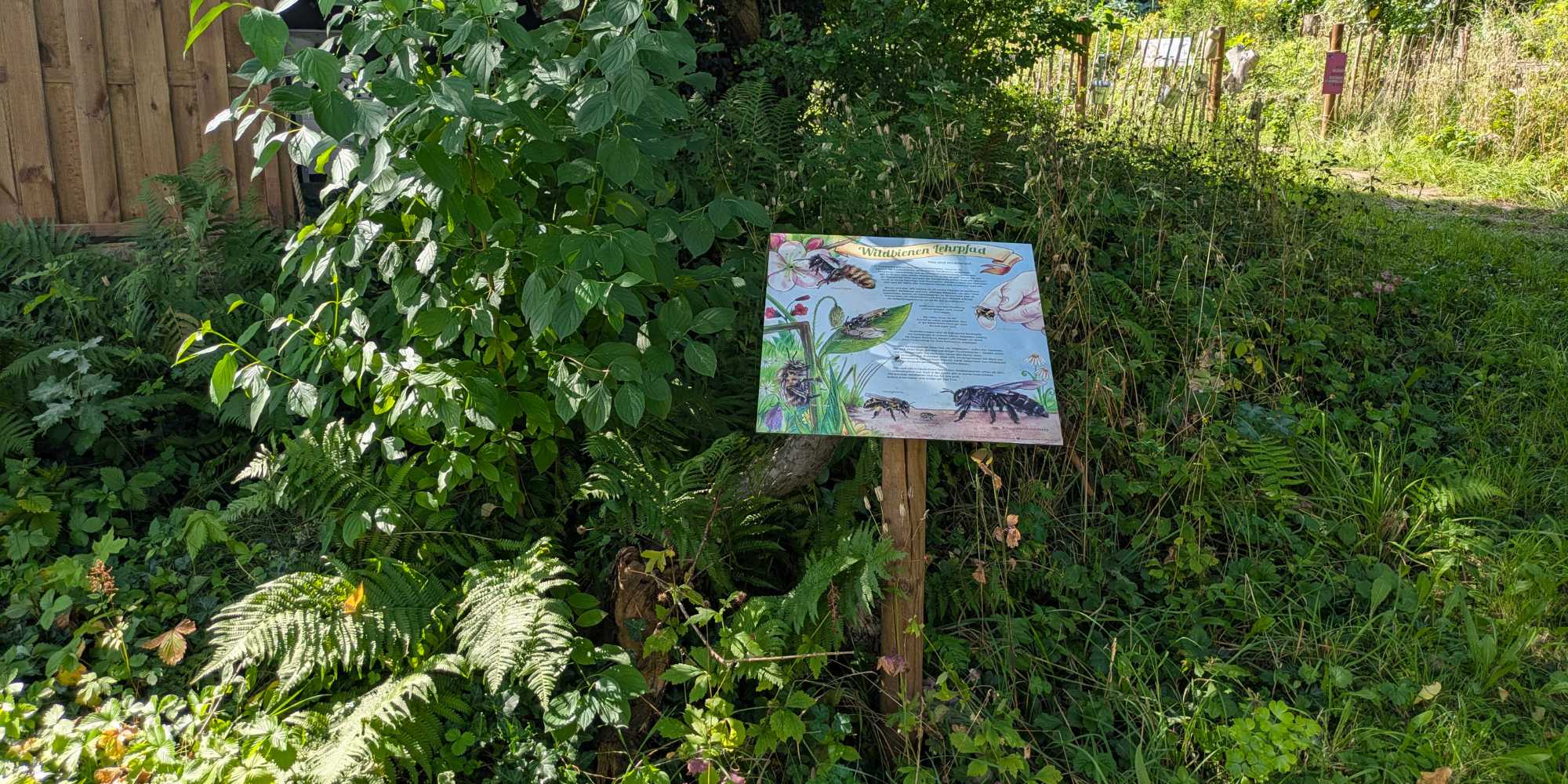 Was sind Wildbienen