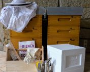 Jungimkerausbildung Projekt "ImkerKids" ASB Hort Neuendorf