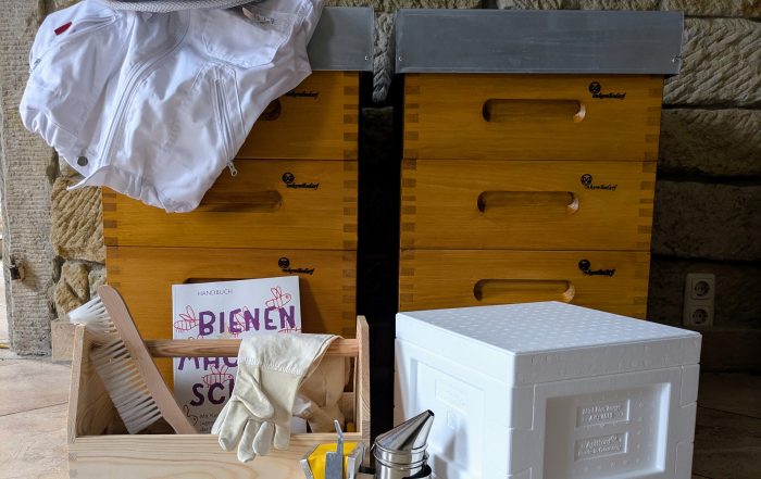 Jungimkerausbildung Projekt "ImkerKids" ASB Hort Neuendorf